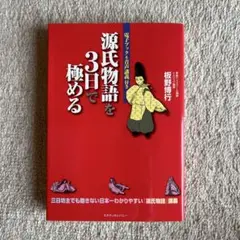 源氏物語を3日で極める　板野博行