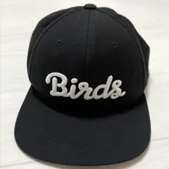 BIRDS OF CONDOR バーズオブコンドル ロゴキャップ 窪塚洋介