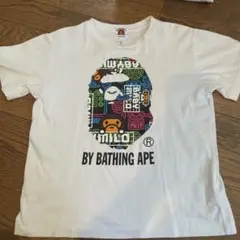 Item thumbnail for item bde86f8e-78be-467d-8962-2589a45b09c3