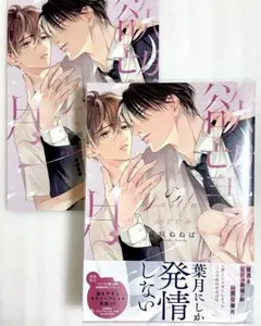 欲望の月 藤咲ねねば アニメイト購入特典リーフレット付き