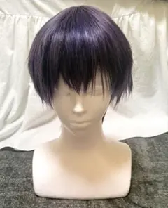クラッセ　ウィッグ　N パープル14