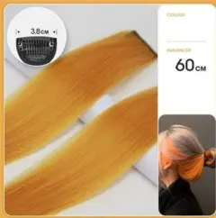 Item thumbnail for item 795c7d2f-8eff-49d9-9141-08f310db9f96