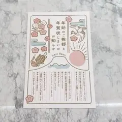 年賀状じまい2025（新年お知らせ） 10枚入り 鶴と亀 可愛い 年賀状