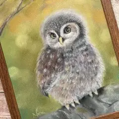 パステル画　夕陽に包まれたフクロウさん　B5サイズ