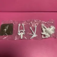 1/12 ヒト骨格 （新品未開封） ホワイト 白