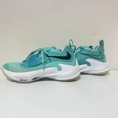 NIKE zoomfreak3 by you