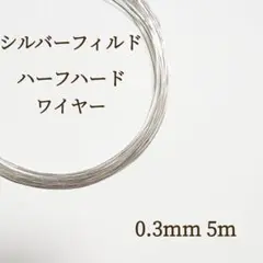 Item thumbnail for item ce302341-4fd1-4c53-a3e1-99a231495315