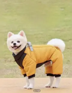 犬服 ダウンスーツ Sサイズ イエロー