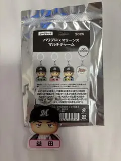 パワプロ、マリーンズ、マルチチャーム、益田