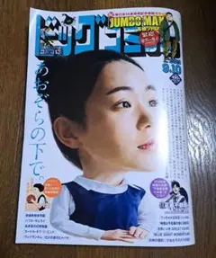 ビッグコミック 9月10日 17号