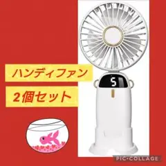 Item thumbnail for item b76034ec-c4d6-4ebf-949b-0d30e180bef6