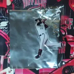 内藤鵬　キーホルダー