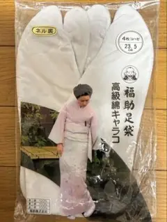 Item thumbnail for item 7337d1d1-c726-48f0-8a0f-c28f9c8983e7