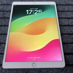 61 【早い者勝ち】 iPad Pro 10.5 64GB シルバー