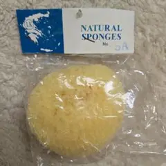 ギリシャ産✮天然 海綿スポンジ