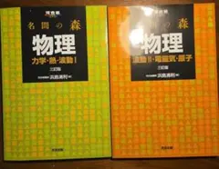 名問の森物理 2冊セット