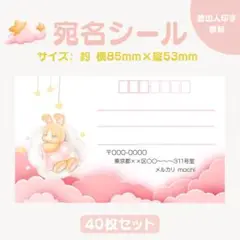宛名シール おやすみうさぎ ピンク 小さめサイズ 40枚セット