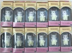 Item thumbnail for item 62ea2e4f-7212-4cca-ad51-9cc4ee9bad73