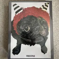大野智【FREE STYLE 2020】ジグソーパズル＋ディズニーパネル パズル 大野智 (嵐) 「FREESTYLE 2020 大野智 作品展 IN 大阪