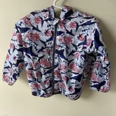 Item thumbnail for item 83f4a4bc-44fd-4809-84e4-522a180887eb