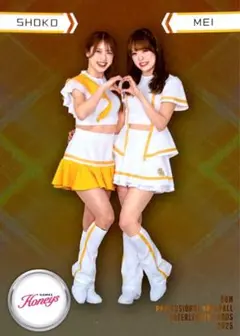 Item thumbnail for item 3b432396-e14e-4719-8992-5488c6b093c8