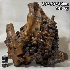 Item thumbnail for item 82fbdbcf-a23f-4e00-a980-47c2a7884b20