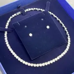 Item thumbnail for item ec62e361-6dc7-457f-aea9-4e73a4cd327f