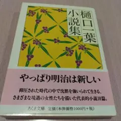 樋口一葉小説集　2005年初版414P