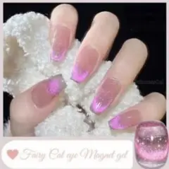 ♡*✧Fairy Cat eye✧*マグネットジェルネイル*✴10☪