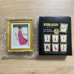 新品未使用 キングダム 紫夏 フレームマグネット 映画