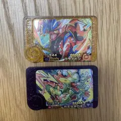 コライドン＆カミツオロチ