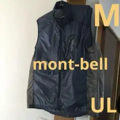 Item thumbnail for item b5abbca1-5796-4836-8be2-9e684e96b6e8