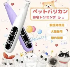 Item thumbnail for item d08cbbeb-5eef-4c60-9cdb-21240fb233c9