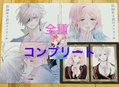 花秘める君のメテオール 4 珠森ベティ 特典　イラストカード　コンプリート