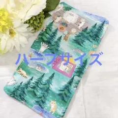 Item thumbnail for item ca7cf6c3-527d-4ea6-b571-c9063c9f6abe