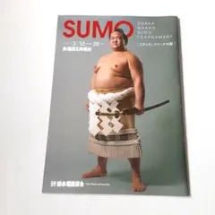 すもう★ 大相撲大阪場所☆横綱稀勢の里 2017.3.12～26♪