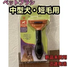 Item thumbnail for item 1fb8f0df-a673-4185-bb22-899b1d11c0f1