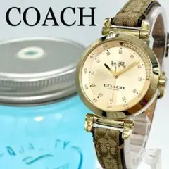 273 COACH コーチ時計 レディース腕時計 ゴールド 12Pダイヤ 人気