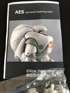 未組立 1/48 S.A.F.S 雷電RS ランチキンS  Ma.k ワンフェス 未組立 1/48 S.A.F.S 雷電RS ランチキンS Ma.k ワンフェス