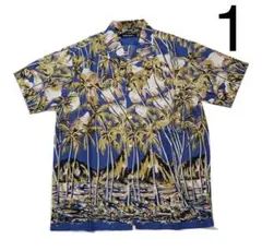 Item thumbnail for item d5c7fd15-3c2d-4d9d-ad51-01babda963d8