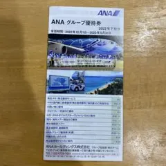 ANA グループ優待券 2期分