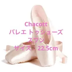 サイズ：22.5cm Chacott バレエ トゥシューズ　スワン