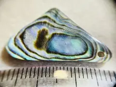アバロンシェル 穴あき 原石