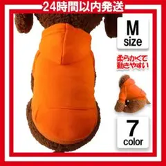Item thumbnail for item bd03204b-db60-495e-8c30-b77e26ef9855