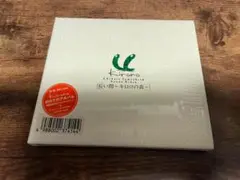 Kiroro CD「長い間～キロロの森～」初回限定盤●