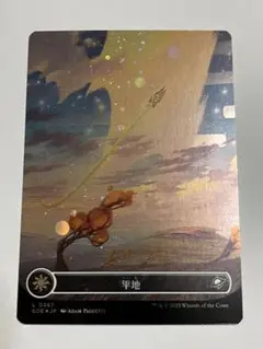 EOE 平地 ボーダーレス ギャラクシーfoil 日本語