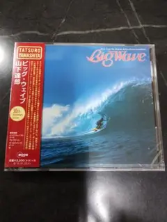 山下達郎Big Wave (30th Anniversary Edition新品