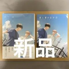 君と夏のなか3 限定版　君と夏のなか 3 新品　アニメイト　リーフレット　限定版