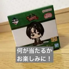 ミセス一番くじフィギュア 何が出るかお楽しみに！