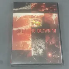 【半額】BREAKING DOWN10 DVD ブレイキングダウン